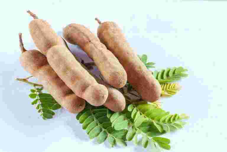 tamarind gaffd54457 1920