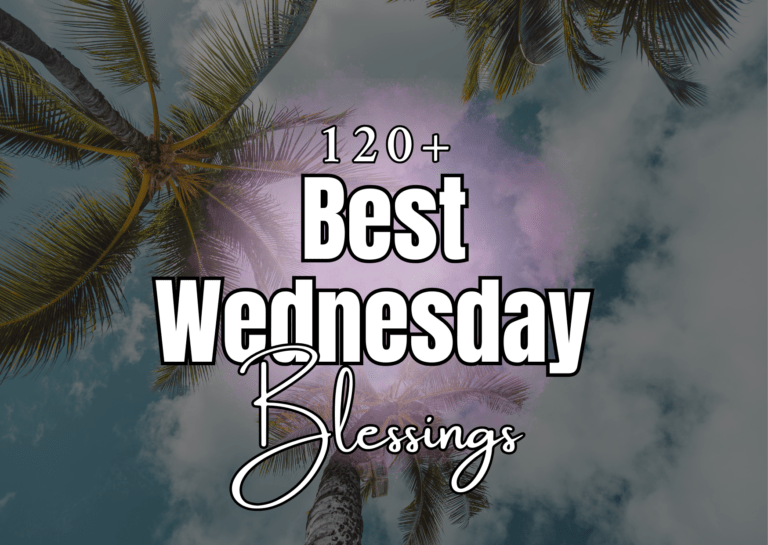 Wednesday Blessings
